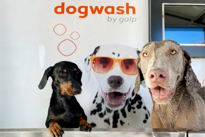 Galp testa serviço de lavagem para cães na zona de Lisboa