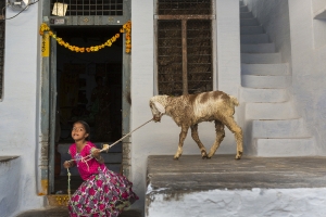 &quot;Terra de Sonhos&quot;, um olhar sobre o mundo feminino em Anantapur, na Índia