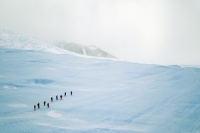Quer voluntariar-se para uma expedição à Antártida?