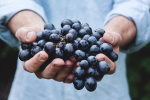 Os surpreendentes benefícios das uvas