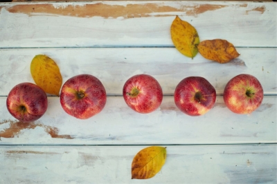 Os benefícios da popular maçã